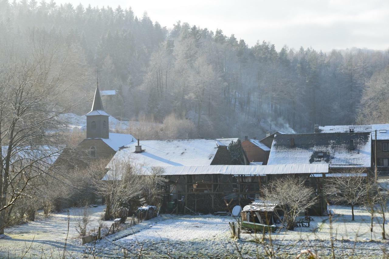 Gite La Truite A Mouzaive Vresse-sur-Semois Dış mekan fotoğraf